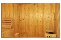 ruang sauna spa